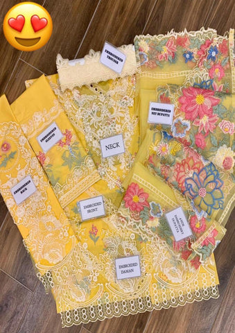 Crimson Luxury Chikankari Collection – MD 966 (CSSL-D06b)